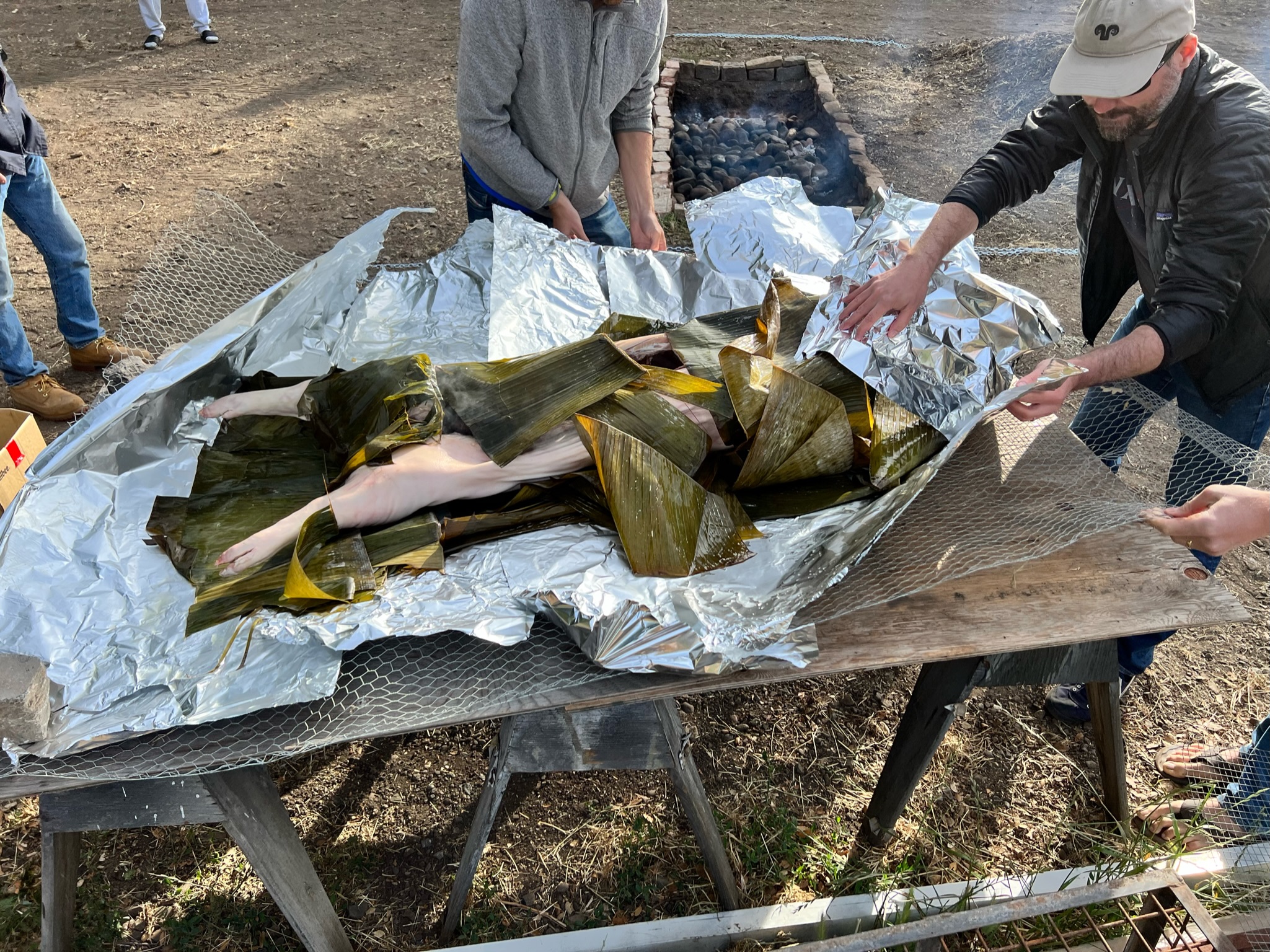 Wrapping the pig in banana leaves and foil.