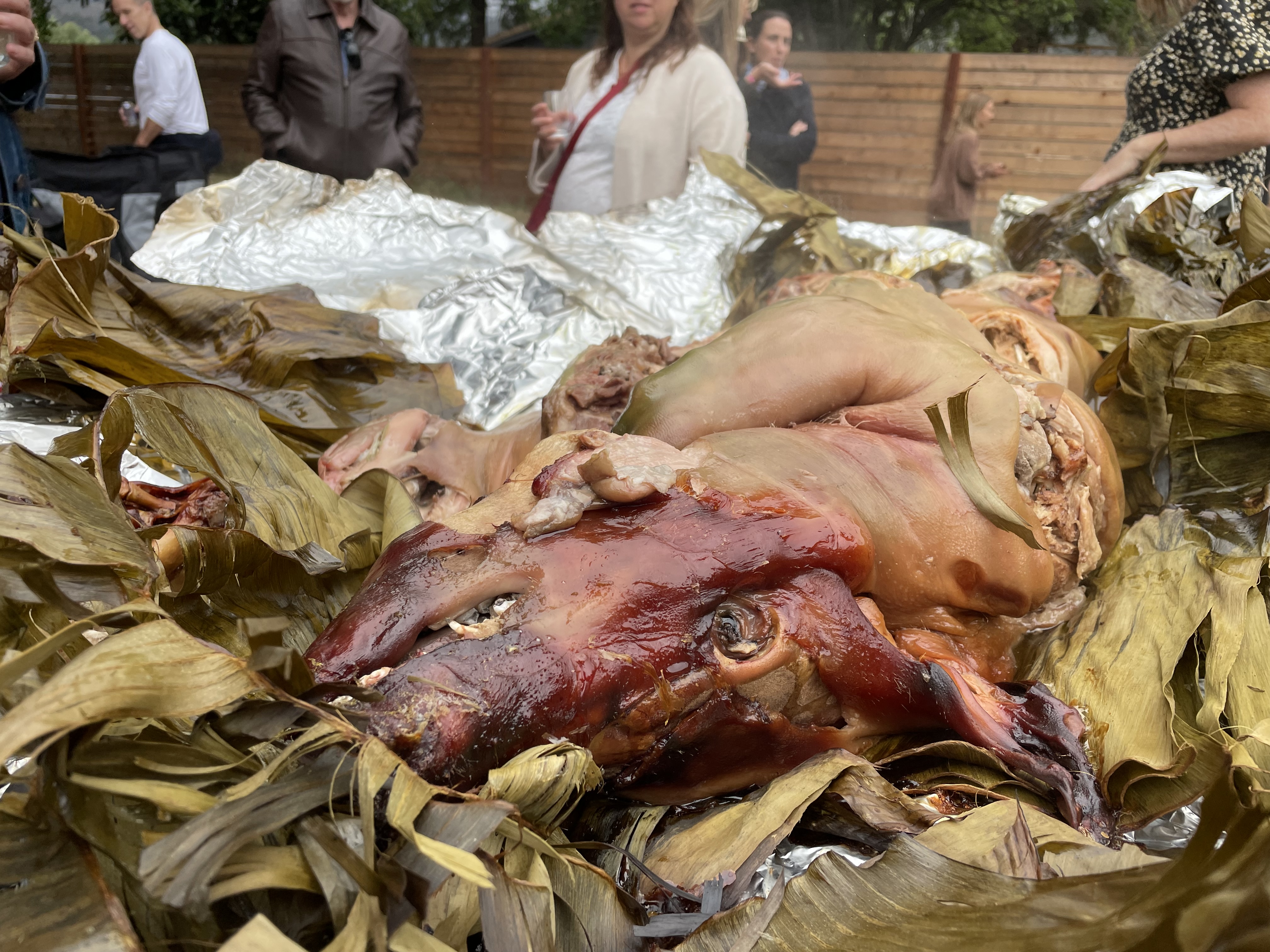 Cooked pig - close up of the head