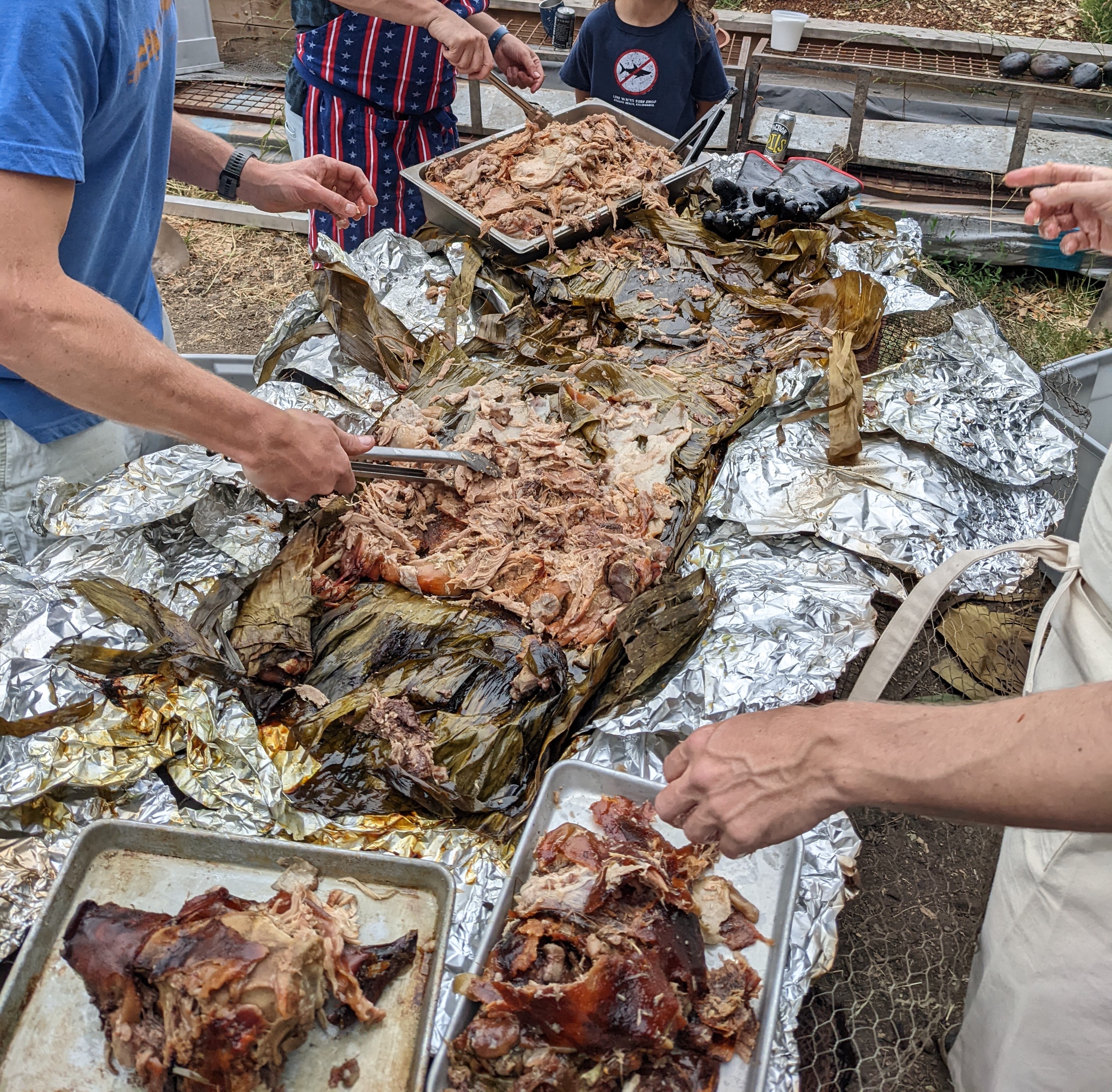 Shredding the pig to make Kalua pork